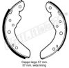 FORD 16005666 Brake Shoe Set